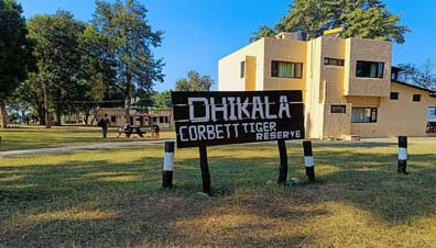 Dhikala Night Stay, Jim Corbett Natinal Park