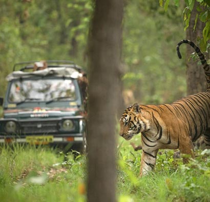 Phato Safari Zone, Jim Corbett National Park